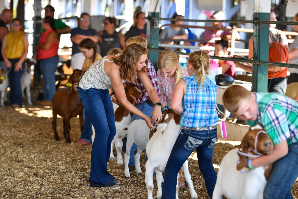 2024 Clinton County Fair Clinton County Fair